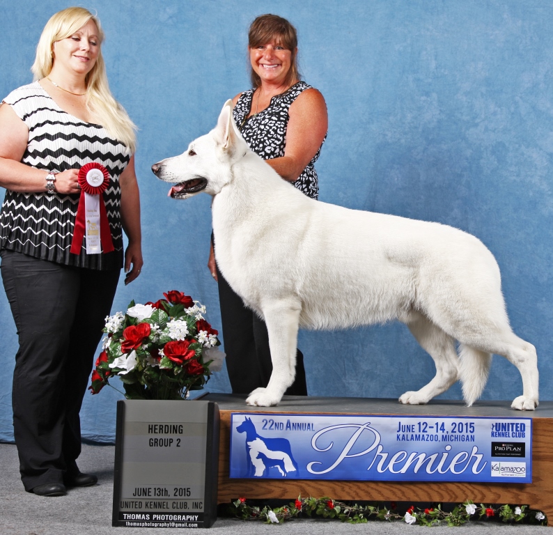 Ramsey - BEST OF BREED UWSC National Specialty 2015 